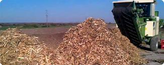 Compost